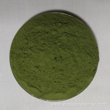 Organic Young Wheat Leaves Powder